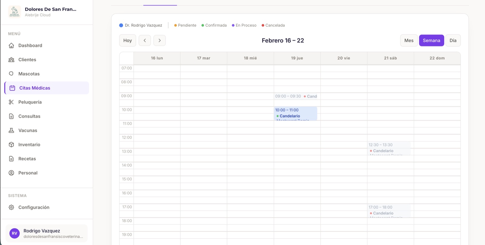 Agenda médica y de peluquería, captura 1