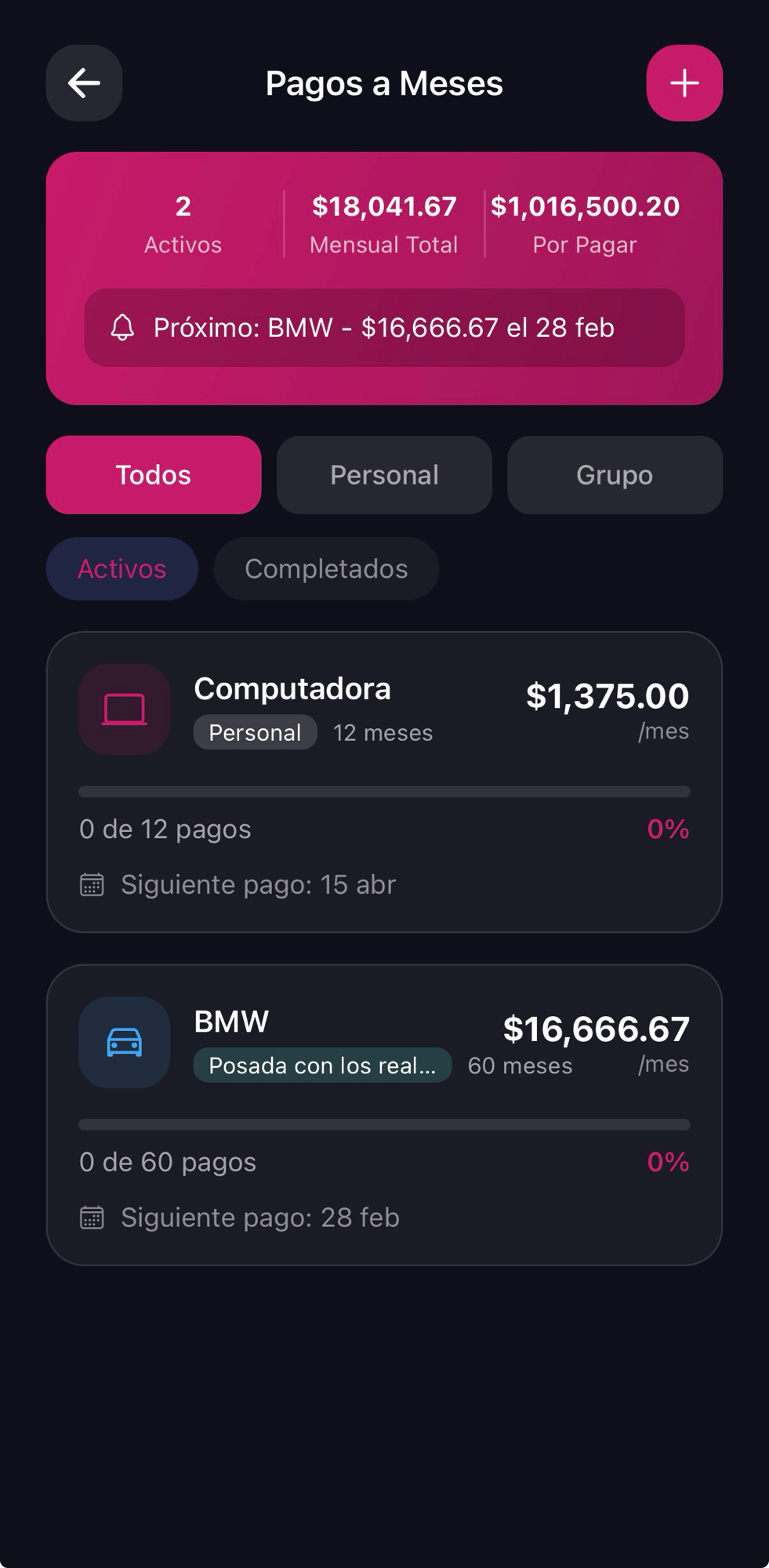 Pagos programados y a meses 2