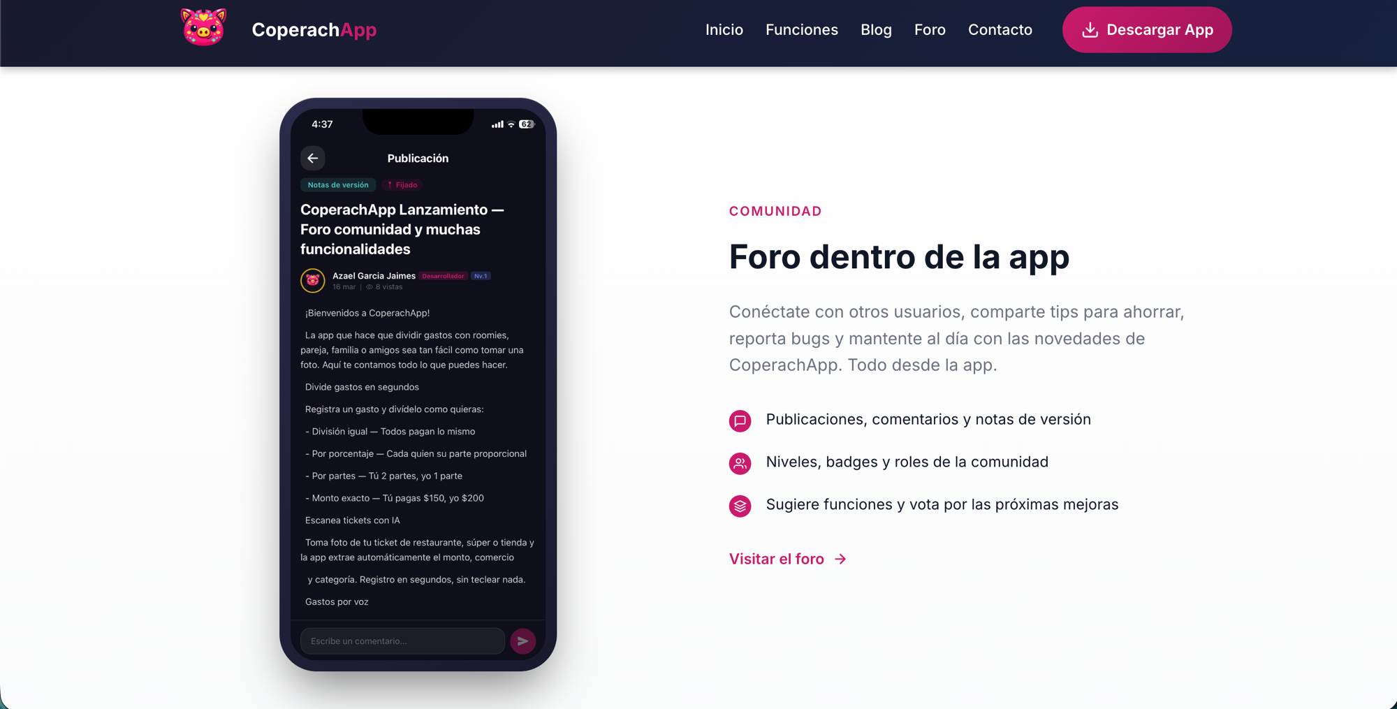 Sitio web 5