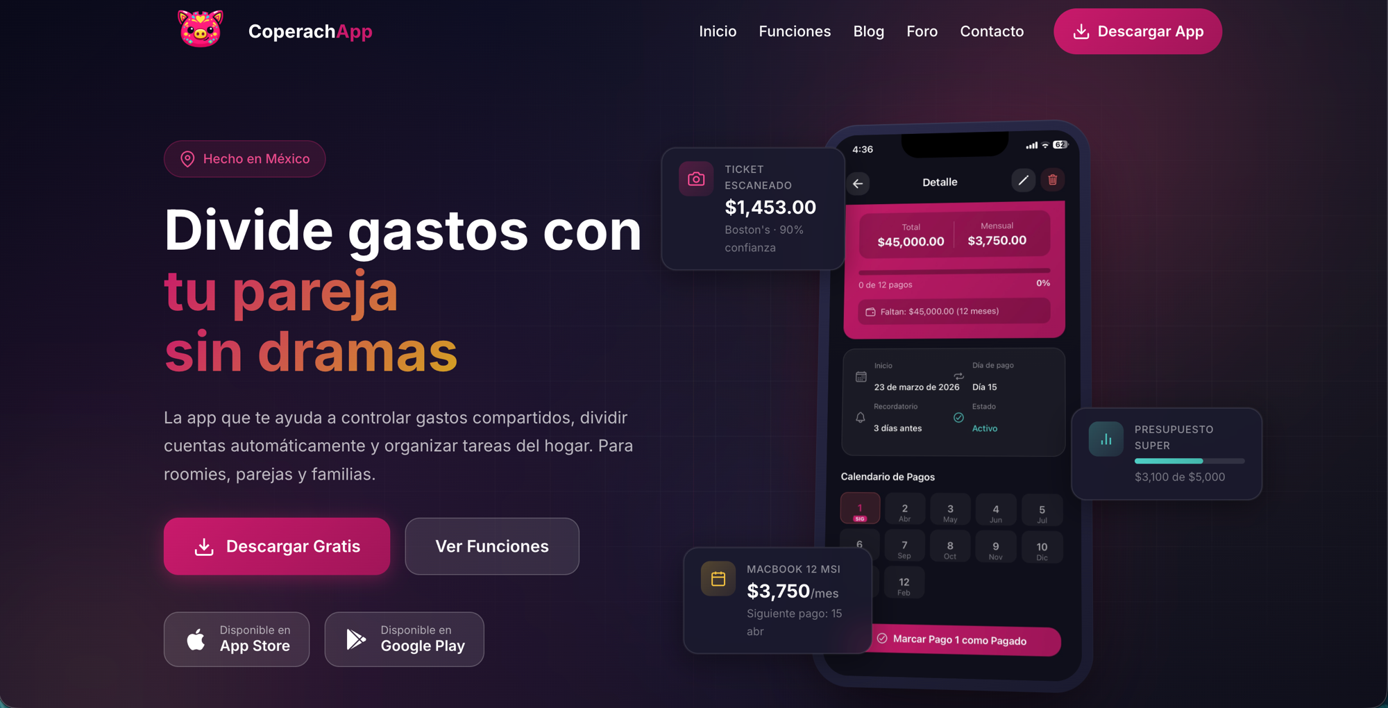Sitio web 1