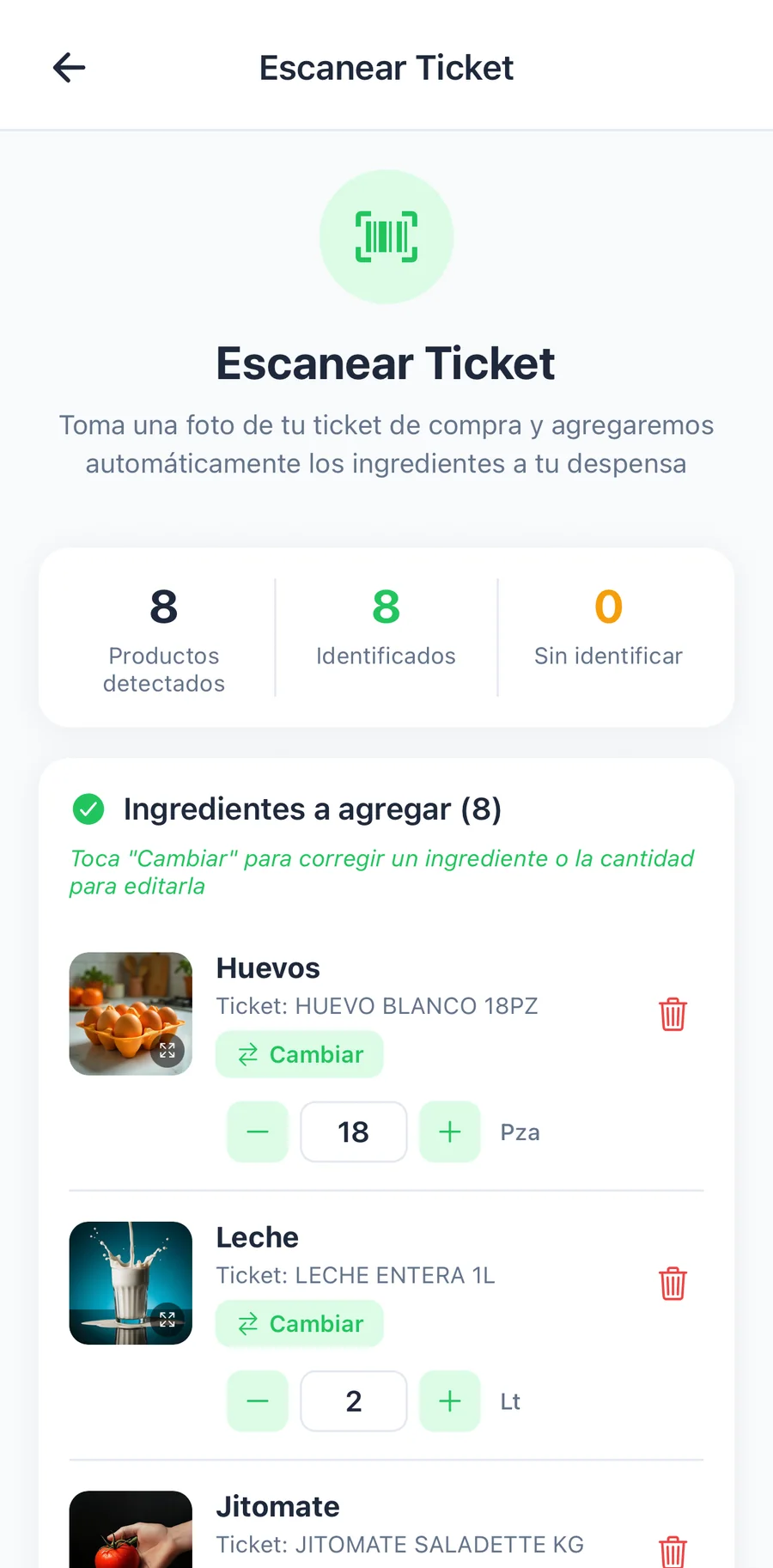 Escaneo de tickets y asistente con IA, captura 3